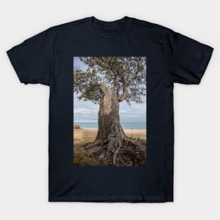 Dromana Beach, Dromana, Mornington Peninsula, Victoria, Australia T-Shirt